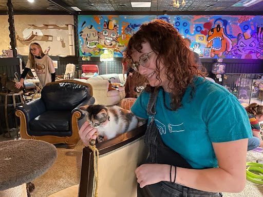 Cups and Claws Cat Cafe