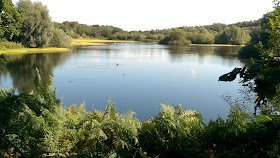 Moore Nature Reserve