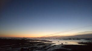 Photo n°14 de EARL Min Er Goas. Huîtres à Lanmodez à Lanmodez ()