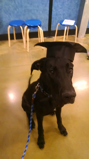 Pet Supply Store «PetSmart», reviews and photos, 1720 N Pointe Dr, Durham, NC 27705, USA