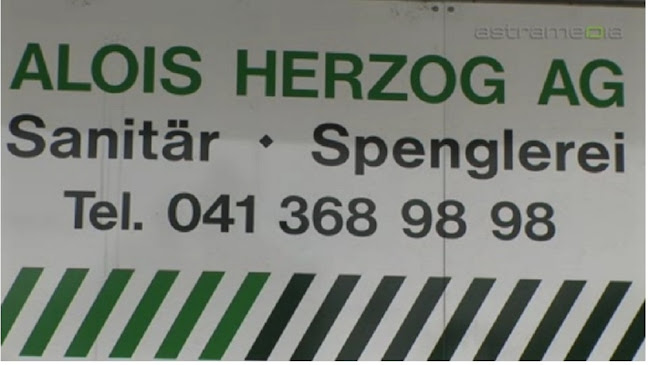 Herzog Alois AG - Luzern