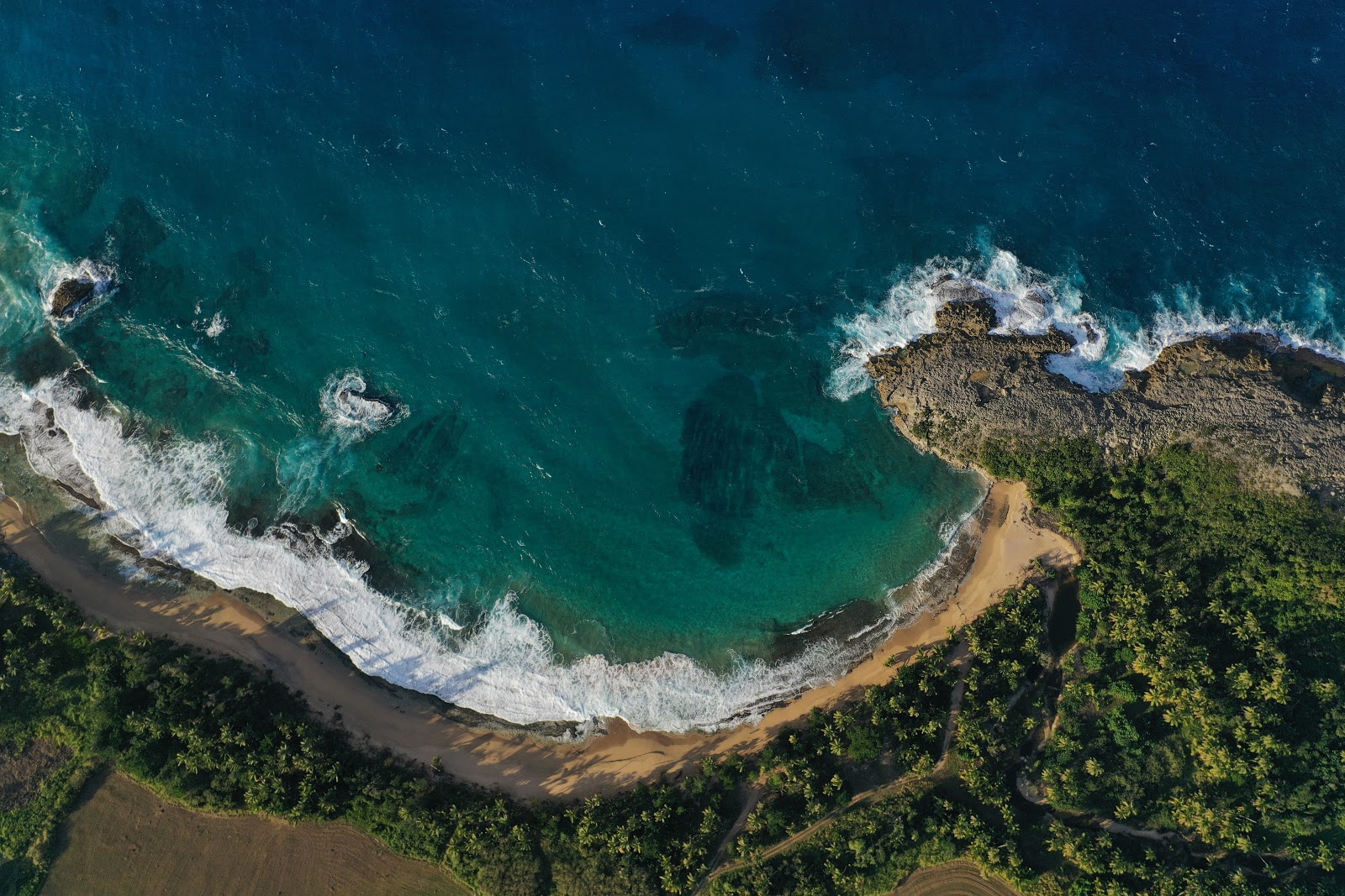 Zdjęcie Las Palmas beach z poziomem czystości wysoki