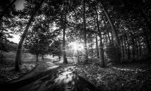 Park «Lenora Park», reviews and photos, 4515 Lenora Church Rd, Snellville, GA 30039, USA