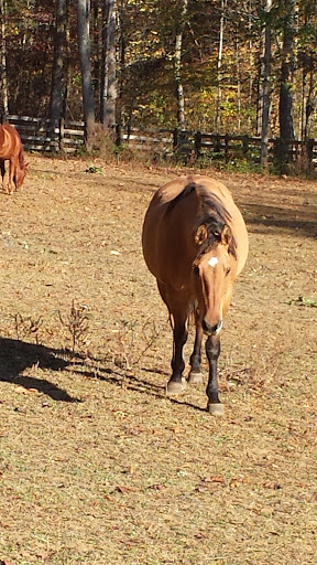 National Park «Cumberland Gap National Historical Park», reviews and photos, 91 Bartlett Park Road, Middlesboro, KY 40965, USA