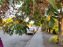 Kevin's Auto Repair - Photo 9 - Car repair in Mountain View, CA, Sunnyvale