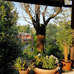 Photo n°4 de l'avis de Andrea.a fait le 13/05/2017 à 16:11 sur le  Ristorante La Cantinaccia à Castell'Arquato