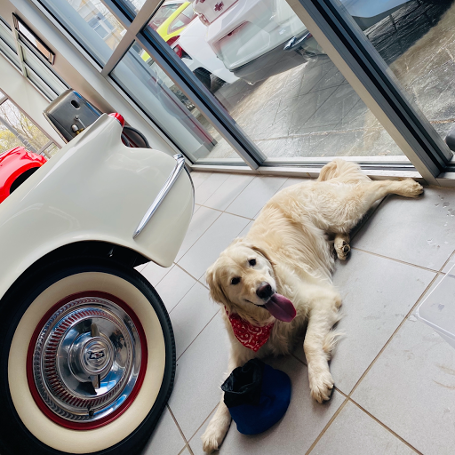 Chevrolet Dealer «Upstate Chevrolet», reviews and photos, 36 Main St, Attica, NY 14011, USA