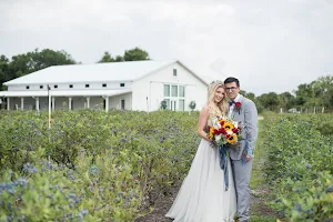 Ever After Farms Blueberry Wedding Venue image