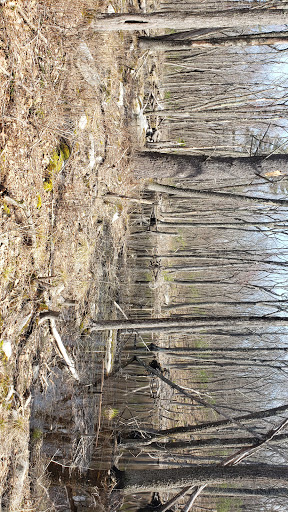 Nature Preserve «Summer Star Wildlife Sanctuary», reviews and photos, 690 Linden St, Boylston, MA 01505, USA