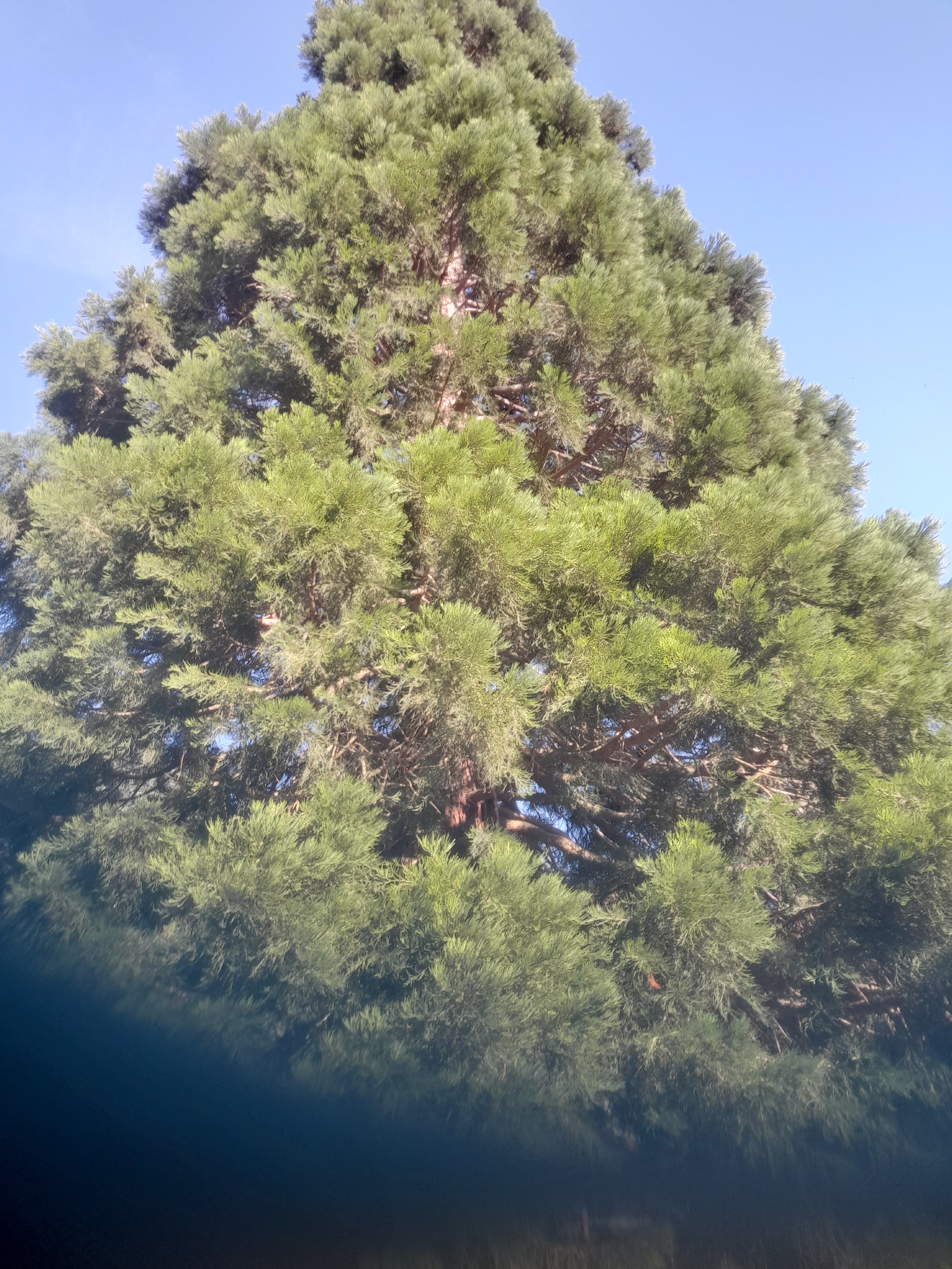 Photo n° 3 de l'avis de Majid.a fait le 02/06/2022 à 12:32