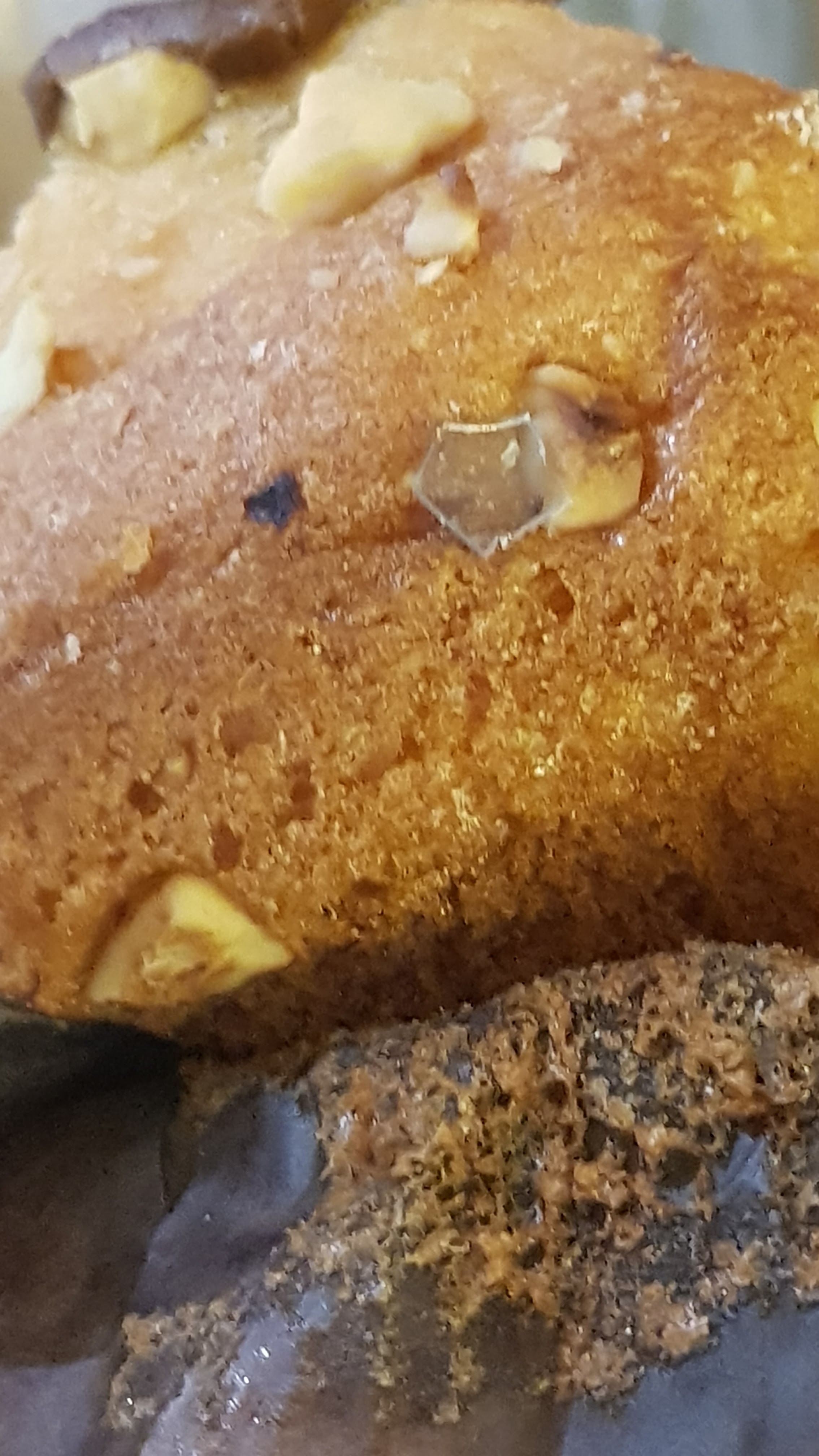 Photo n° 3 de l'avis de Omar. fait le 18/04/2019 à 20:38