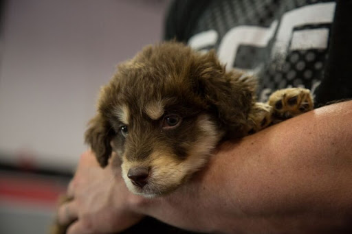 Gym «Summit Crossfit», reviews and photos, 21 A McArthur Ln, Asheville, NC 28803, USA