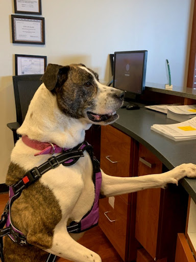 Subaru Dealer «Brilliance Subaru», reviews and photos, 1500 N Randall Rd, Elgin, IL 60123, USA