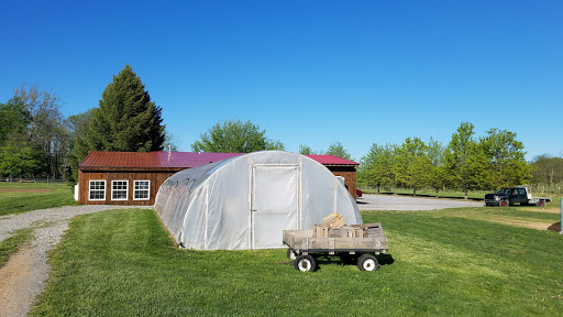 Farm «Manoff Market Gardens», reviews and photos, 3157 Comfort Rd, Solebury, PA 18963, USA