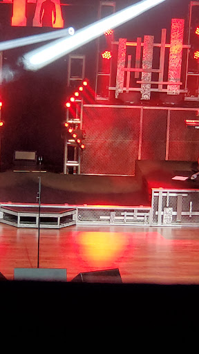 Performing Arts Theater «The Capitol Theatre», reviews and photos, 140 E 2nd St, Flint, MI 48502, USA