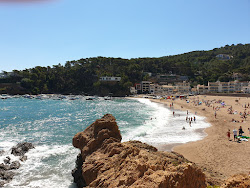 Photo de Platja de Sa Riera - endroit populaire parmi les connaisseurs de la détente