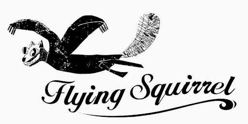 Toy Store «Flying Squirrel», reviews and photos, 87 Oak St, Brooklyn, NY 11222, USA