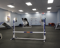 Zoom Room Dog Training - Photo 6 - Car repair in Huntington Beach, CA, Huntington Beach