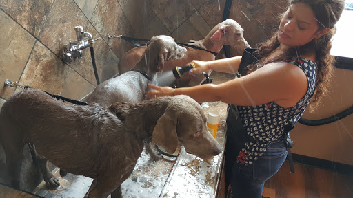 Pet Store «Pet Valu», reviews and photos, 134 S Ridge St, Rye Brook, NY 10573, USA