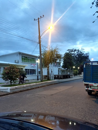 Comentarios y opiniones de Liceo Bicentenario Santa Cruz de Larqui