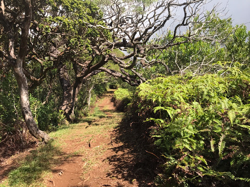 Waʻahila Ridge State Recreation Area