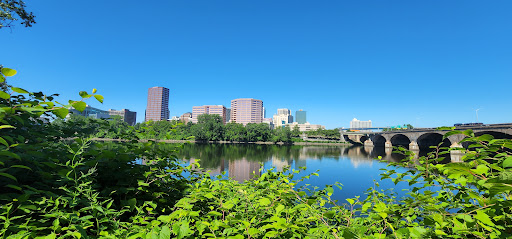 Tartas fondant Hartford