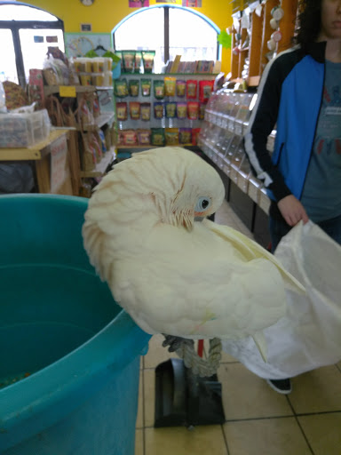 Bird Shop «Paterson Bird Store», reviews and photos, 13 Furler St # 1, Totowa, NJ 07512, USA