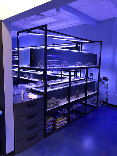 Aquarium «Artistic Aquariums, Inc», reviews and photos, 3400 N Arizona Ave #111, Chandler, AZ 85225, USA