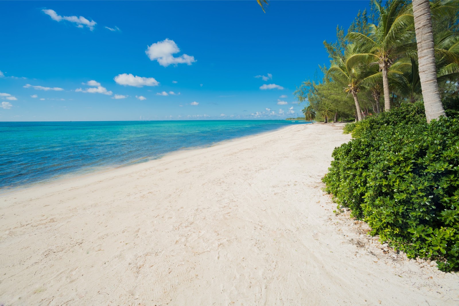 Foto de Cayman Villas beach con brillante arena fina superficie