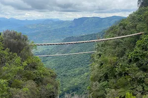 Mtarazi Falls Skywalk and Skyline Bookings image