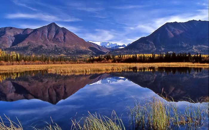 Wrangell-St. Elias National Park & Preserve