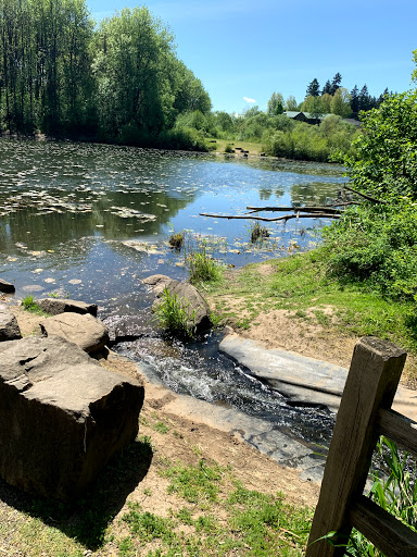 Park «Rood Bridge Park», reviews and photos, 4000 SE Rood Bridge Rd, Hillsboro, OR 97123, USA