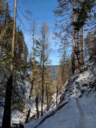 Tourist Attraction «Fairy Falls», reviews and photos, Wahkeena Trail #420, Corbett, OR 97019, USA