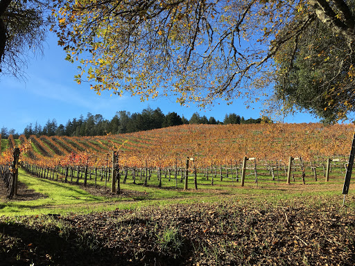 Winery «A Rafanelli Winery», reviews and photos, 4685 W Dry Creek Rd, Healdsburg, CA 95448, USA