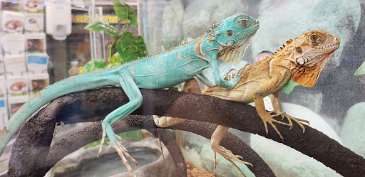 Pet Supply Store «Petco Animal Supplies», reviews and photos, 1680 Campbell Ln, Bowling Green, KY 42104, USA