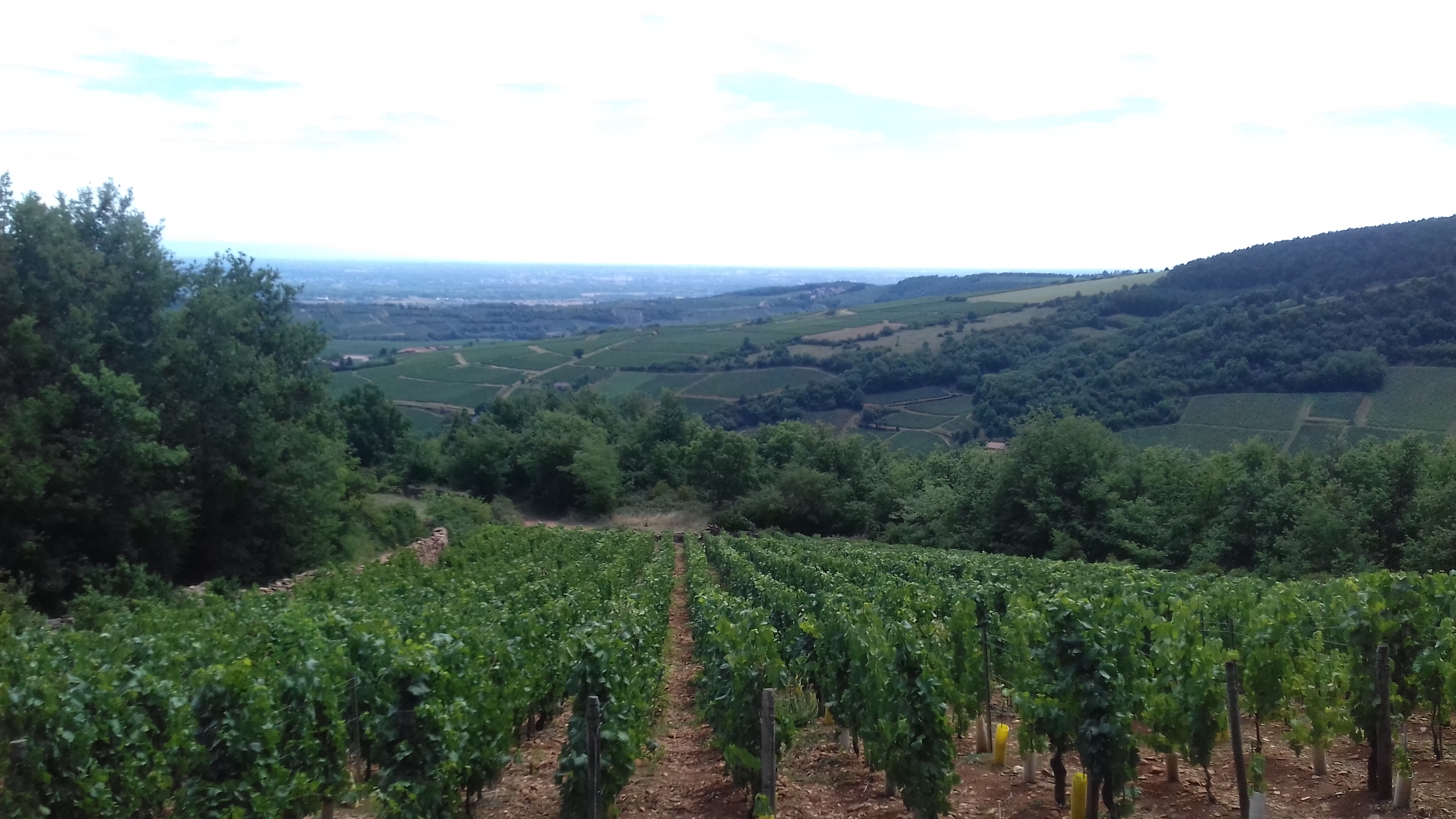 Photo n° 3 de l'avis de Damien.e fait le 21/08/2017 à 15:55
