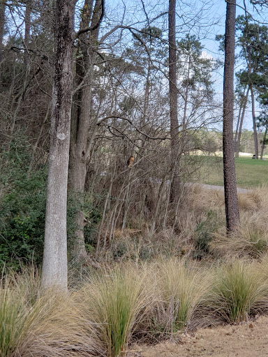 Golf Resort «Golf Club of Houston», reviews and photos, 5860 Wilson Rd, Humble, TX 77396, USA