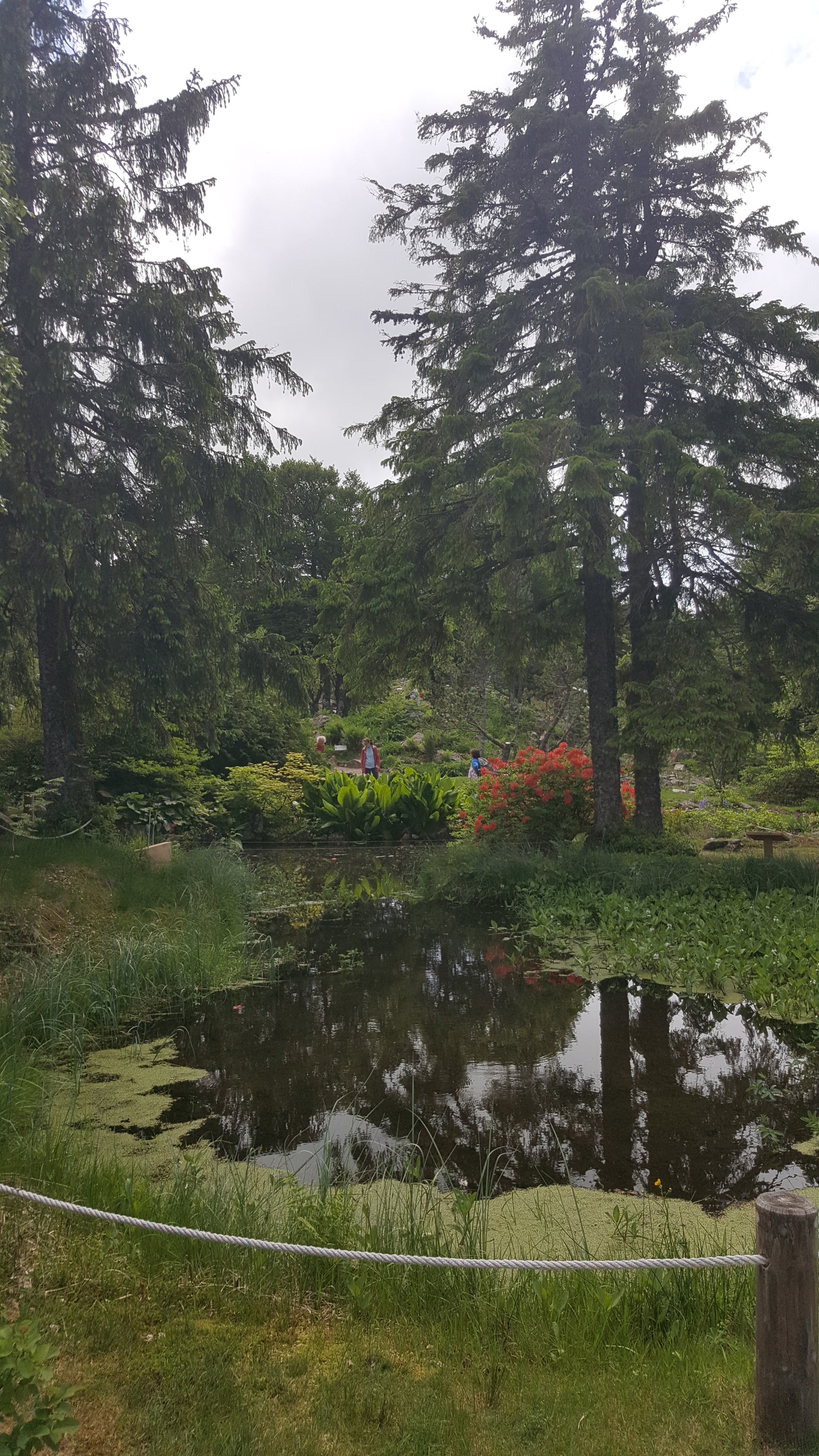 Photo n° 28 de l'avis de Jean-Sébastien.O fait le 23/06/2019 à 16:49