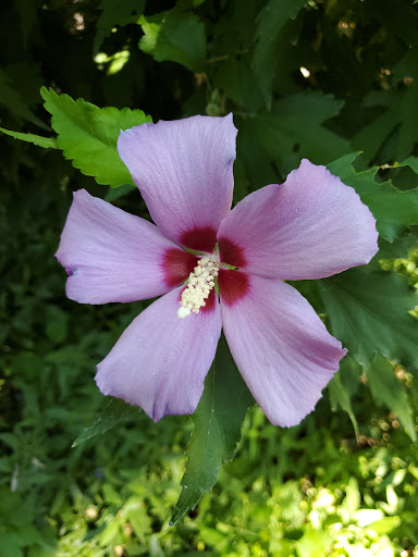 Event Venue «The Palms», reviews and photos, 2947 Nord Ave, Chico, CA 95973, USA