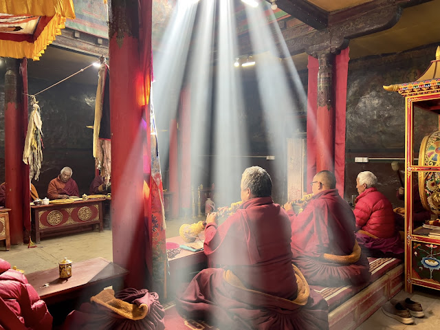 Flying Elephant Tours and Leisure