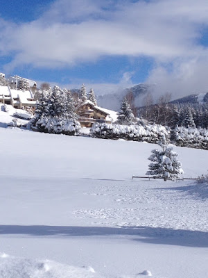 Le Petit Peuil à Corrençon-en-Vercors