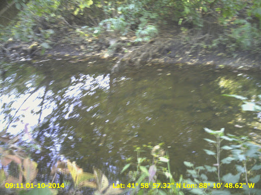 Park «Leiseberg Park», reviews and photos, 285 E Devon Ave, Bartlett, IL 60103, USA