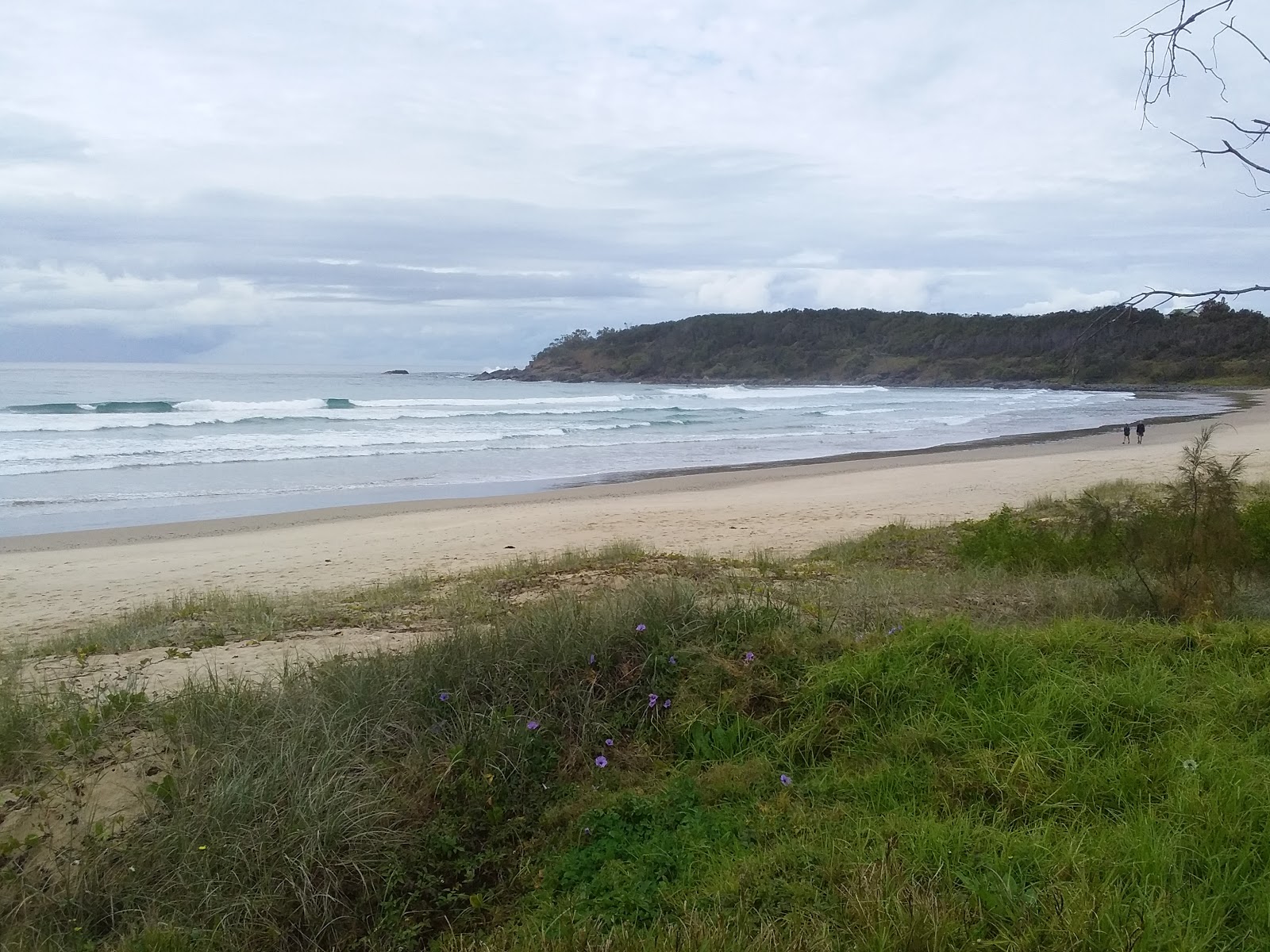 Ocean View Beach的照片 位于自然区域