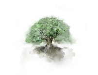 The Johnson Law Group, PLLC