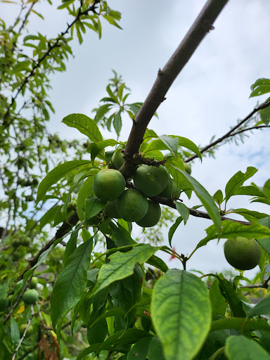 Top 6 cửa hàng balo seliux Huyện Kỳ Sơn Nghệ An 2022