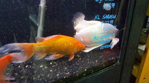 Pet Store «Petland Montgomery», reviews and photos, 7127 Eastchase Pkwy, Montgomery, AL 36117, USA