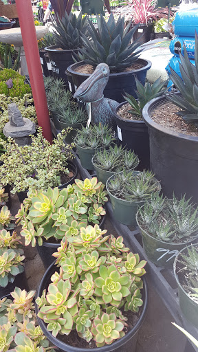 Hardware Store «Santa Barbara Home Improvement Center», reviews and photos, 415 E Gutierrez St, Santa Barbara, CA 93101, USA