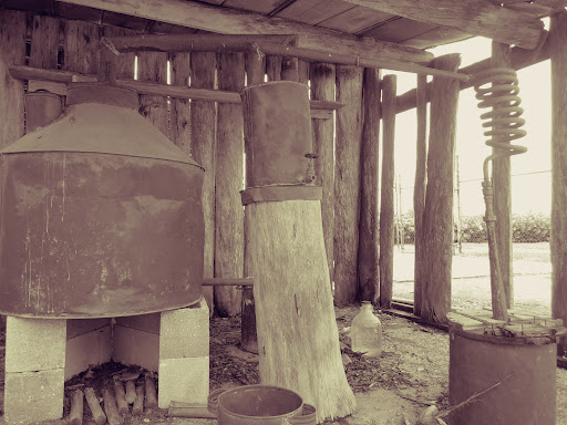 Country Club «St Lucie County Regional History Center», reviews and photos, 414 Seaway Dr, Fort Pierce, FL 34949, USA