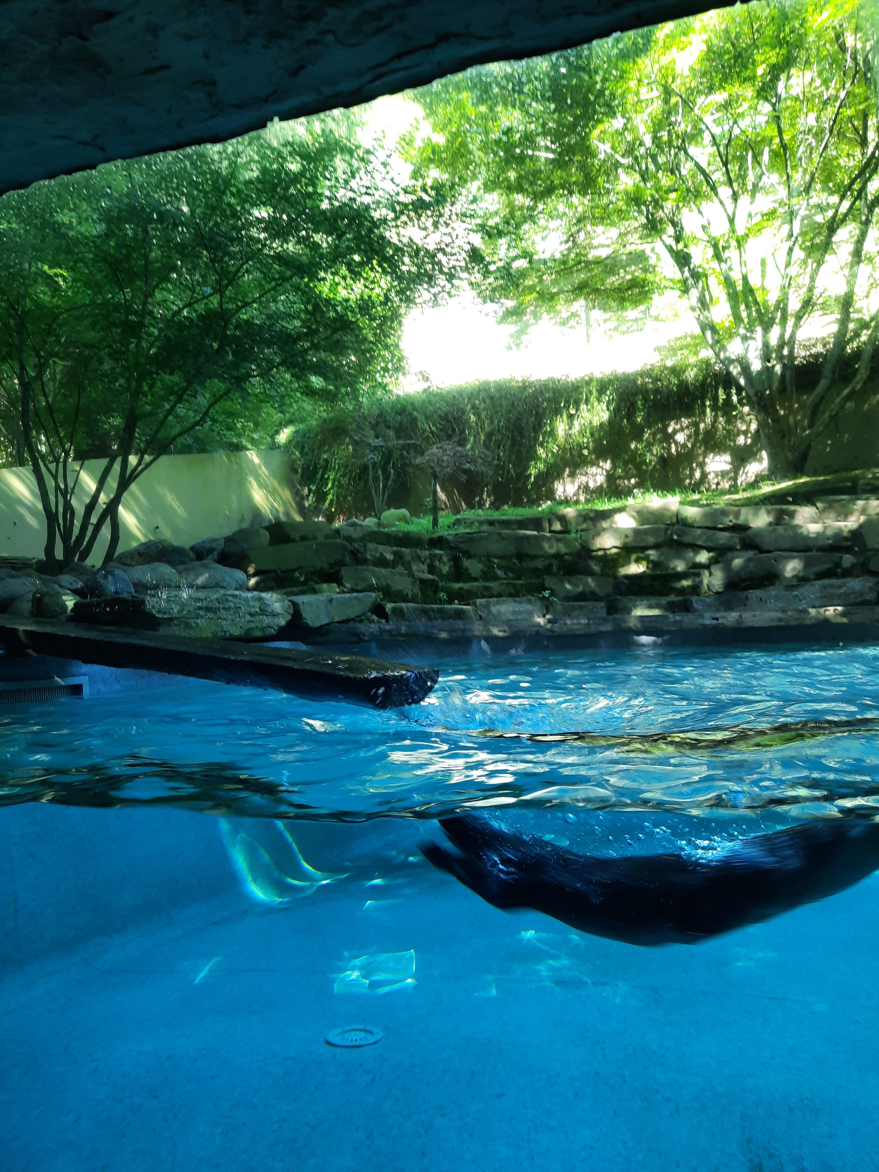 Photo n° 22 de l'avis de Gwen.i fait le 08/08/2023 à 13:19