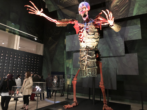 Art Museum «Portland Art Museum», reviews and photos, 1219 SW Park Ave, Portland, OR 97205, USA